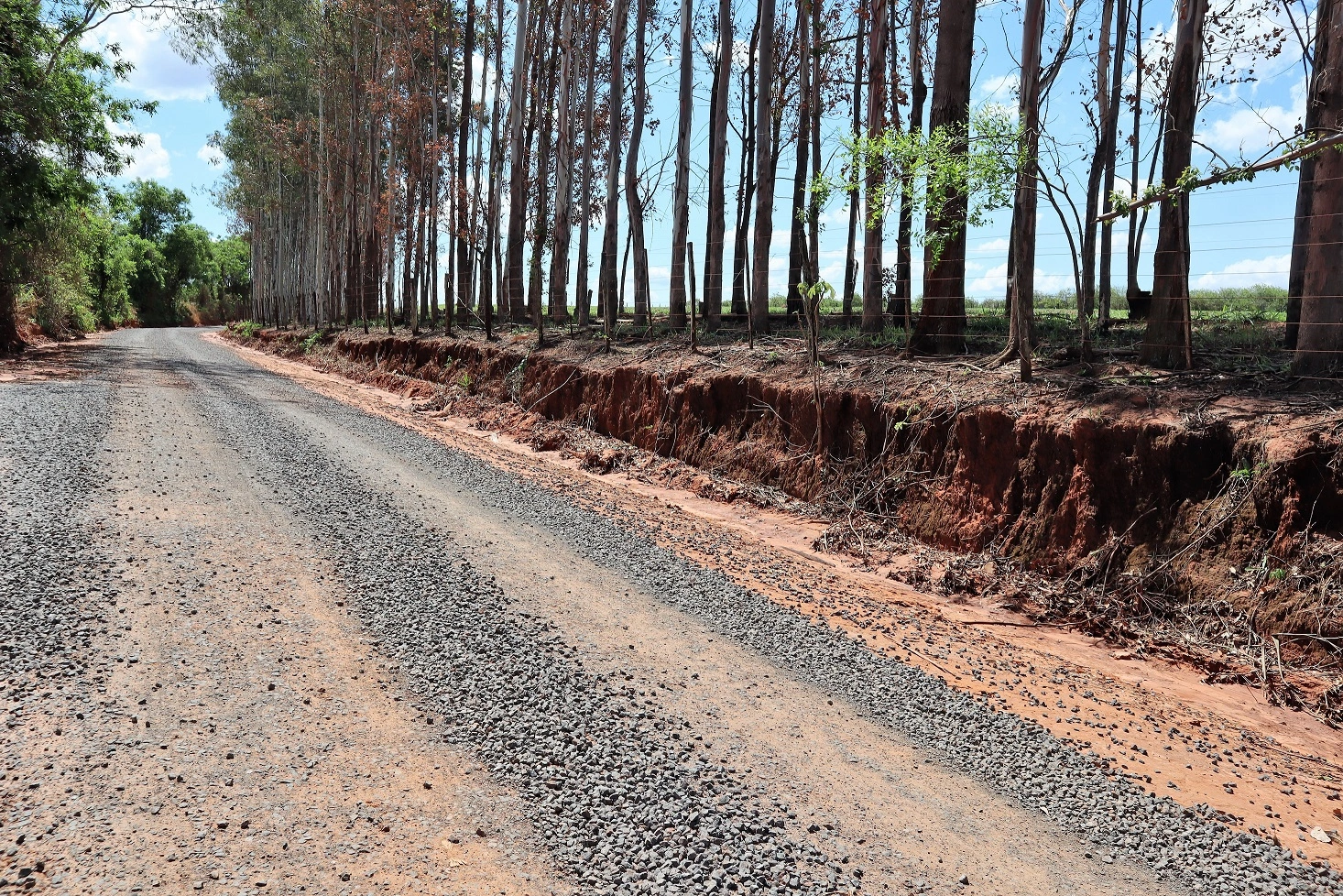 Dispensa de Título Minerário para Extração de Cascalho para Manutenção de Estradas Florestais: Uma Solução Vantajosa