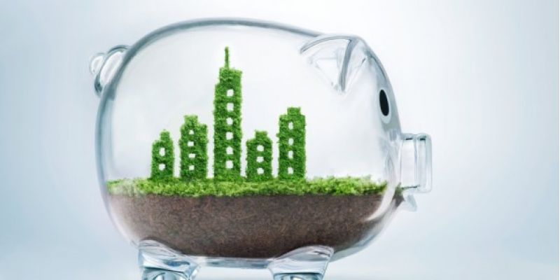 Governo libera pagamento de multas por meio de serviços ambientais