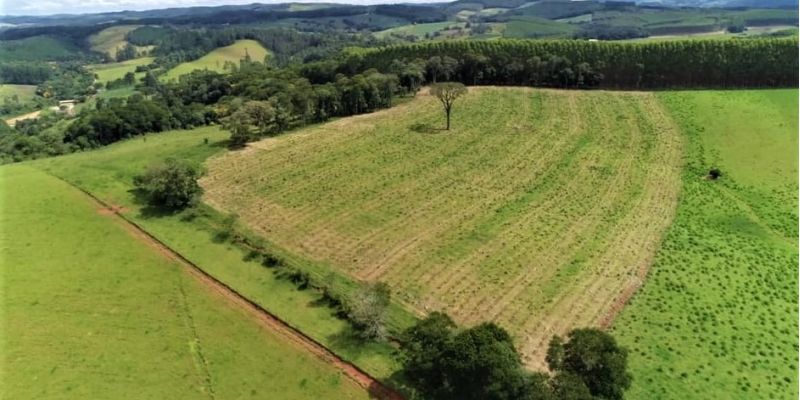 Projeto de Restauração Ecológica em Ribeirão Branco é case de sucesso