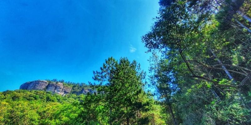 A Estruturação do PCA; Um Subsídio para o Processo de Licenciamento Ambiental.