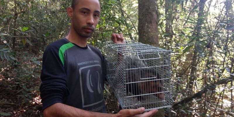 Monitoramento de Fauna