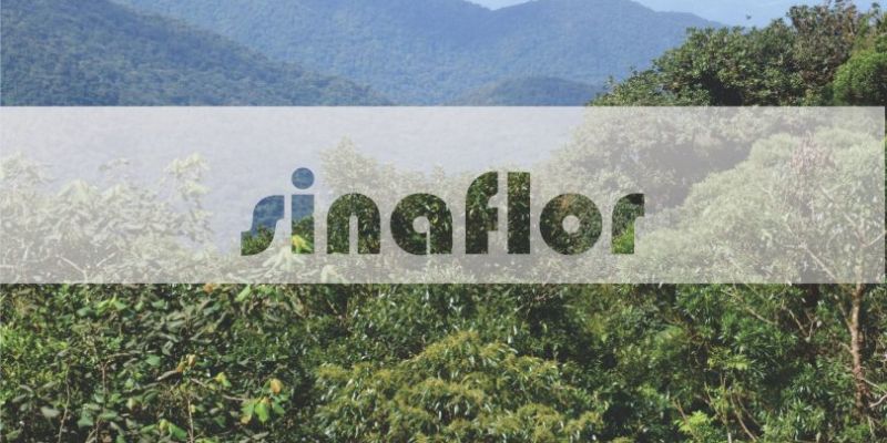 Ibama Inaugura Plataforma de ensino à distância para uso do Sinaflor