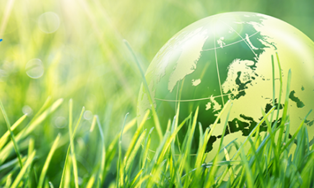 RAPP – Relatório Anual de Atividades Potencialmente Poluidoras e Utilizadoras de Recursos Ambientais