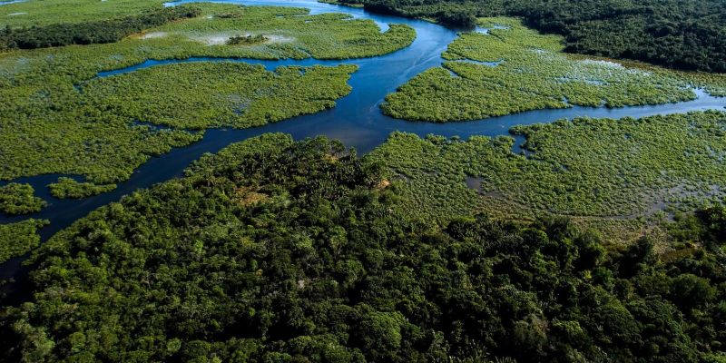 Atualização das regras para solicitar manifestação do IBAMA para supressão de vegetação nativa no Bioma Mata Atlântica