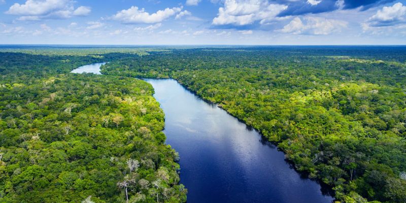 O que é Área de Preservação Permanente – APP